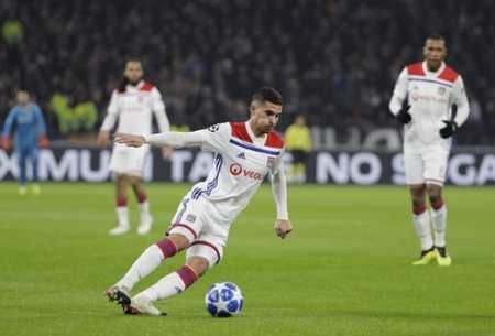 不同种类的 不同种类的